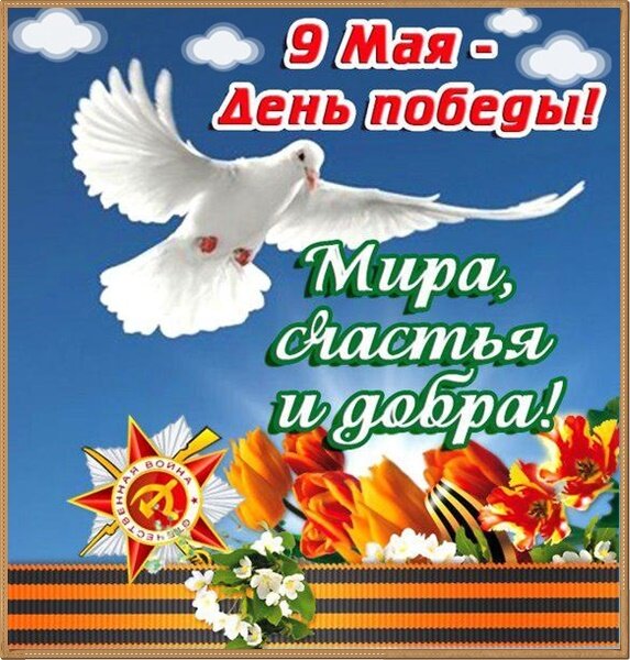 9may
